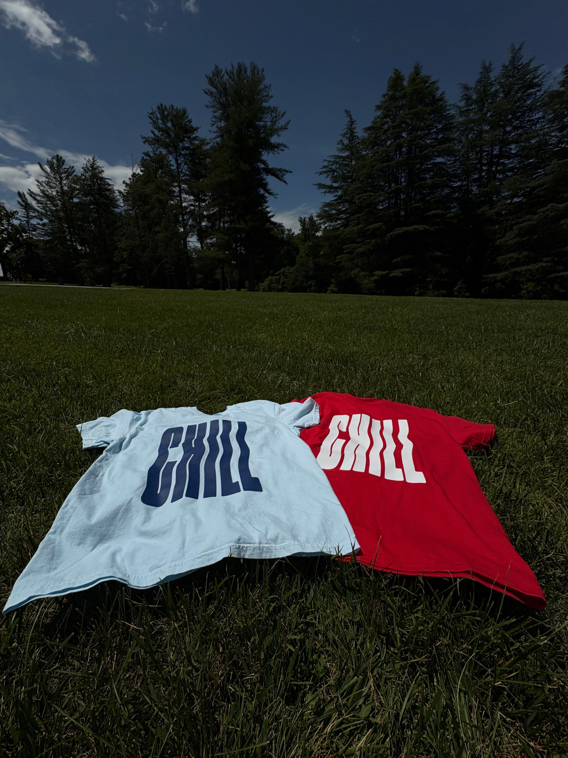 CHILL VIBES TEES