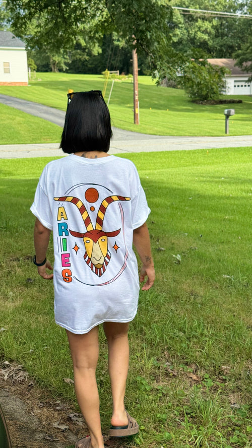 Aries DIY Paintable Tee Full Kit